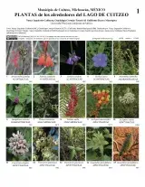 1373_mexico_michoacan_plantas_lago_cuitzeo.pdf 