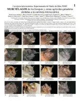 1417_peru_bats_of_the_carretera_interoceanica.pdf 