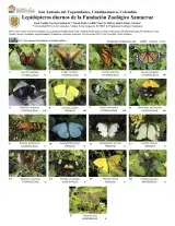 1493_colombia_lepidopteros_fundacion_zoologico_santacruz.pdf