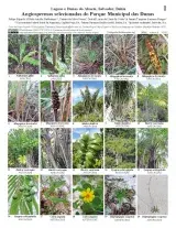 1511_brazil_angiosperms_of_dunas_municipality_park.pdf