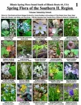 617_usa_spring_flora_of_the_southern_illinois.pdf