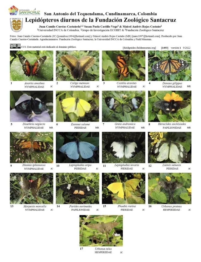 1493_colombia_lepidopteros_fundacion_zoologico_santacruz.pdf